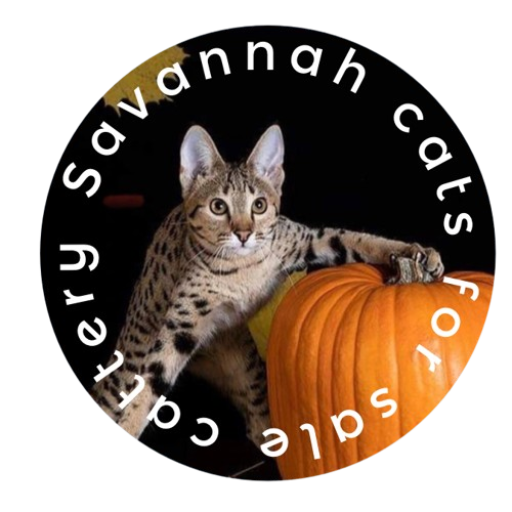 Savannah Cat Logo